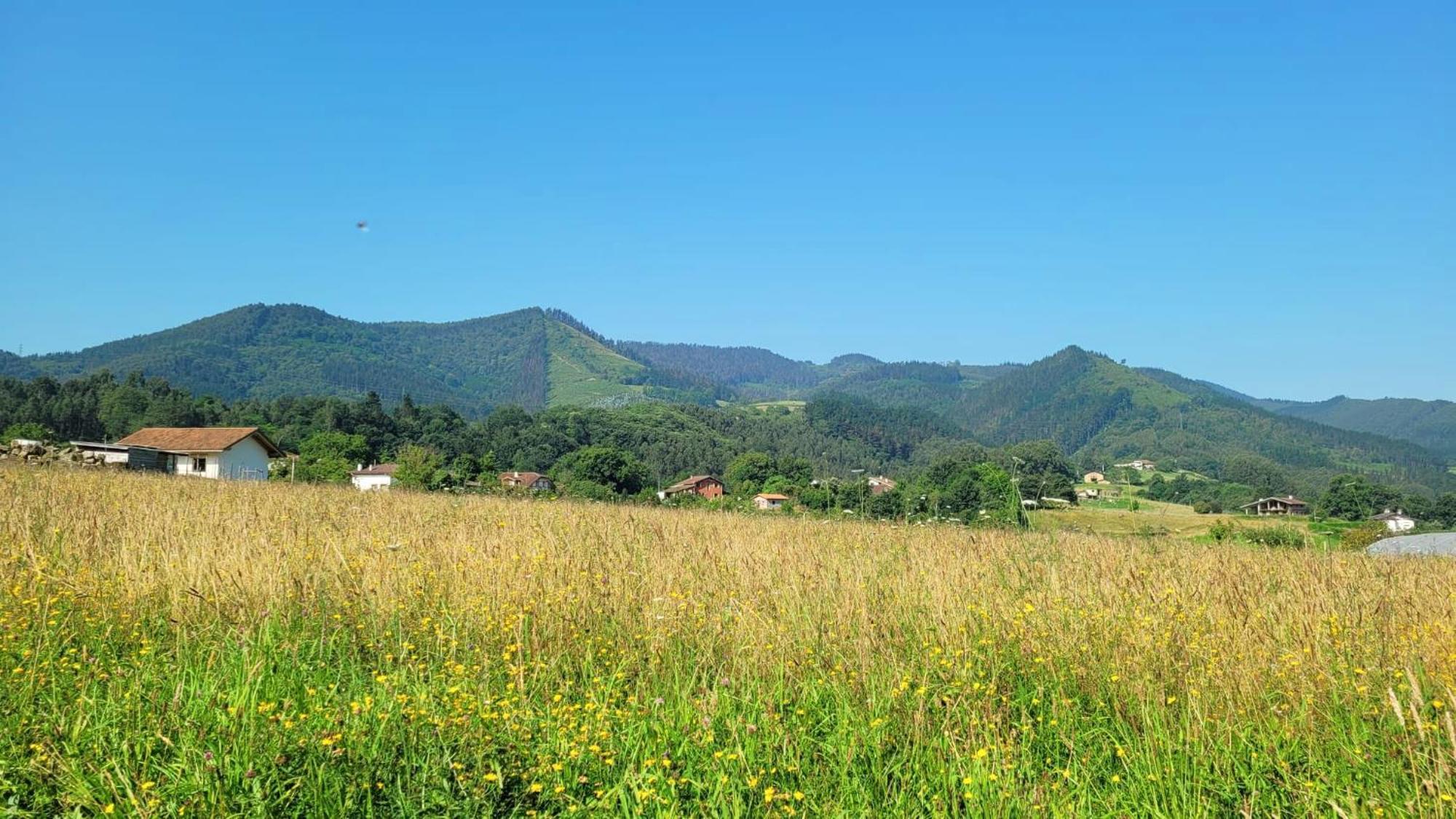 Hotel Aldori Landetxea - Reserva De La Biosfera Urdaibai - Adults Only Muxika Kültér fotó